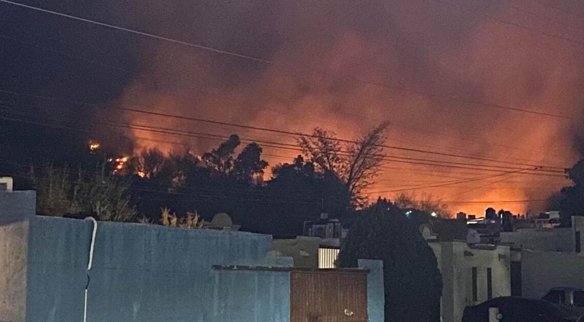 Se incendia Cerro Johnson, única área natural protegida en Hermosillo Se incendia Cerro Johnson, única área natural protegida en Hermosillo