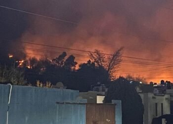 Se incendia Cerro Johnson, única área natural protegida en Hermosillo