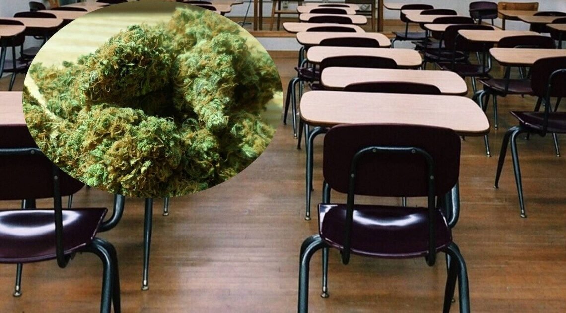 Hermosillo: Alumna llega con un recipiente con mariguana a su escuela en la colonia Las Quintas