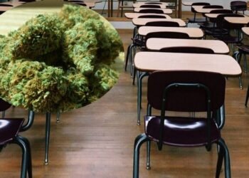 Hermosillo: Alumna llega con un recipiente con mariguana a su escuela en la colonia Las Quintas