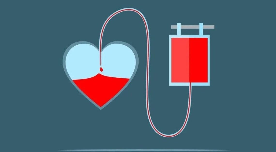 Alberto y Jazmín siempre han ayudado a los demás; ahora ella necesita donadores de sangre Alberto y Jazmín siempre han ayudado a los demás; ahora ella necesita donadores de sangre