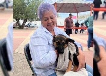 Realizarán Jornada de Esterilización en el Parque Las aves