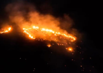 Esta es la causa del devastador incendio del Cerro del Bachoco