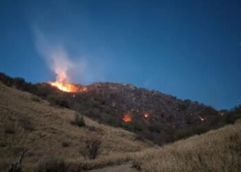 Piden mayor vigilancia ante incendios en el cerro Johnson