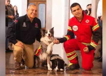 Orly y Balam inspiran escuela para perros rescatistas en Querétaro