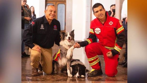 Orly y Balam inspiran escuela para perros rescatistas en Querétaro Orly y Balam inspiran escuela para perros rescatistas en Querétaro