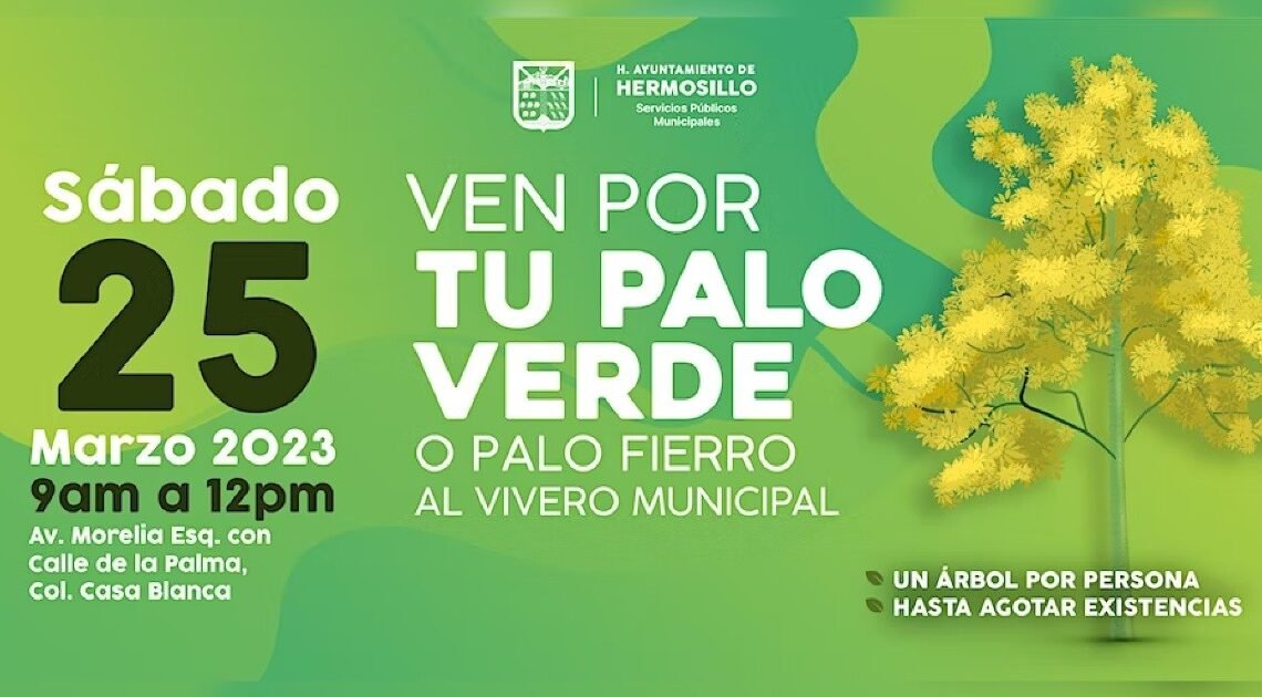 ¡Ve por tu árbol! Ayuntamiento donará palo verdes este sábado ¡Ve por tu árbol! Ayuntamiento donará palo verdes este sábado
