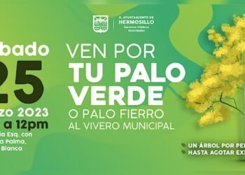 ¡Ve por tu árbol! Ayuntamiento donará palo verdes este sábado