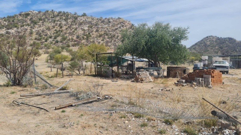 No había casas cerca de la jaula de la que robaron el tigre, refieren autoridades. No había casas cerca de la jaula de la que robaron el tigre, refieren autoridades.