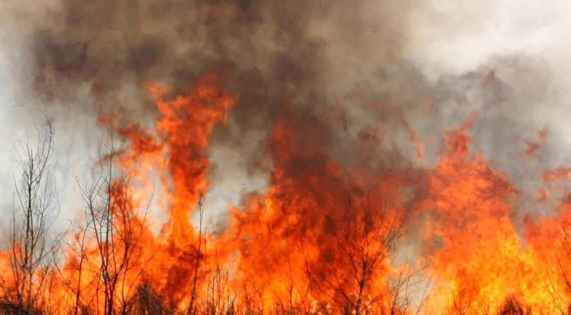 Bomberos extinguen incendio de predio que servía como relleno de basura en Hermosillo Bomberos extinguen incendio de predio que servía como relleno de basura en Hermosillo
