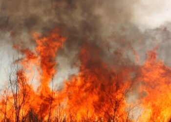 Bomberos extinguen incendio de predio que servía como relleno de basura en Hermosillo