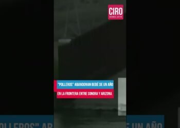 Abandonan a bebé de un año en la frontera | Shorts | Ciro