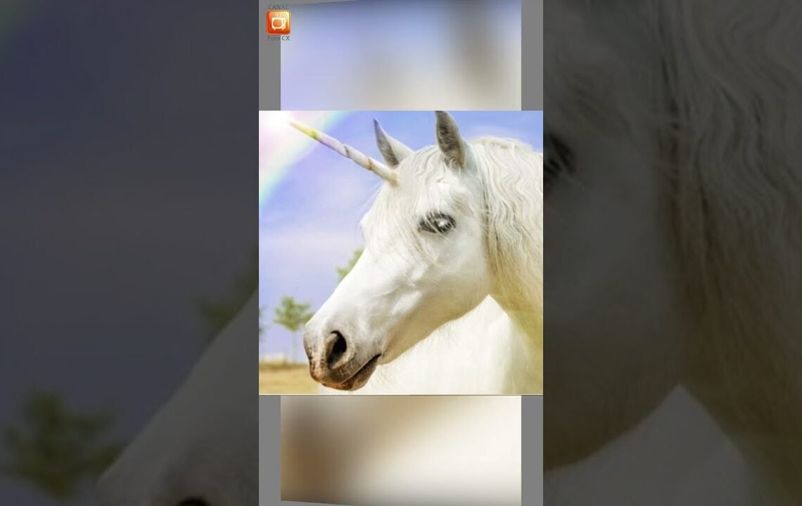 Datos inútiles que debes saber #shorts