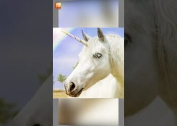 Datos inútiles que debes saber #shorts