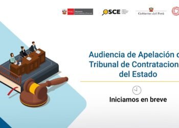Audiencia de Apelación del Tribunal de Contrataciones del Estado / S.5. EXP. 9721-2022