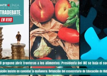 | AMLO propone abrir fronteras a los alimentos; Presidenta del INE se baja el sueldo