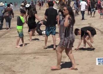 60,000 personas aproximadamente visitaron Bahía de Kino