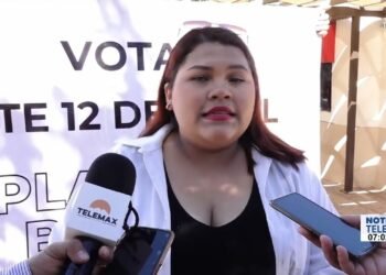 Se llevarán a cabo las elecciones de los órganos colegiados en Unison