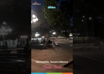 Hermosillo, Sonora y su Ruido Rosa. Cierra los ojos y disfrútalo.