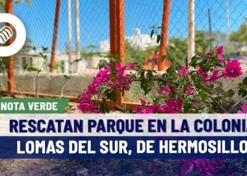 Elizabeth Ortega, vecina de Lomas del Sur en Hermosillo, rescata el parque de su colonia