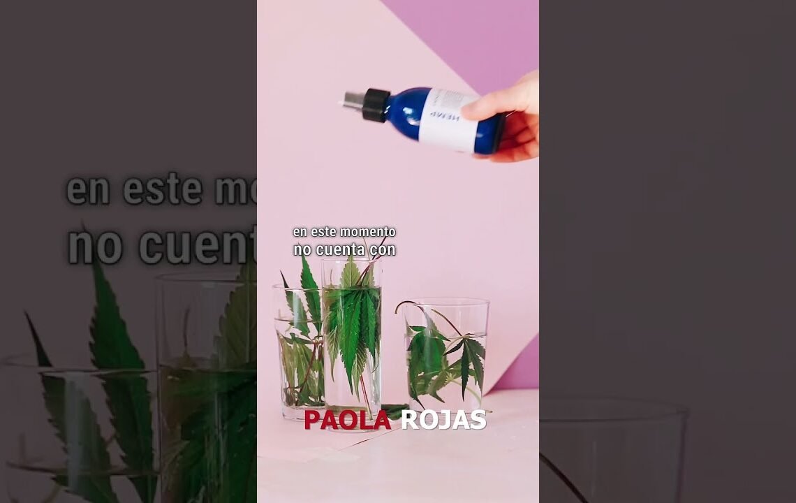 🪴 Cofepris autoriza primera empresa de cannabis industrial en México.