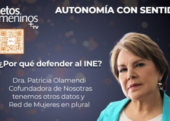 Autonomía con sentido – ¿Por qué defender al INE?