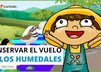 Conservar el #vuelo  en los Humedales | #cuentos #caffenio #hermosillo