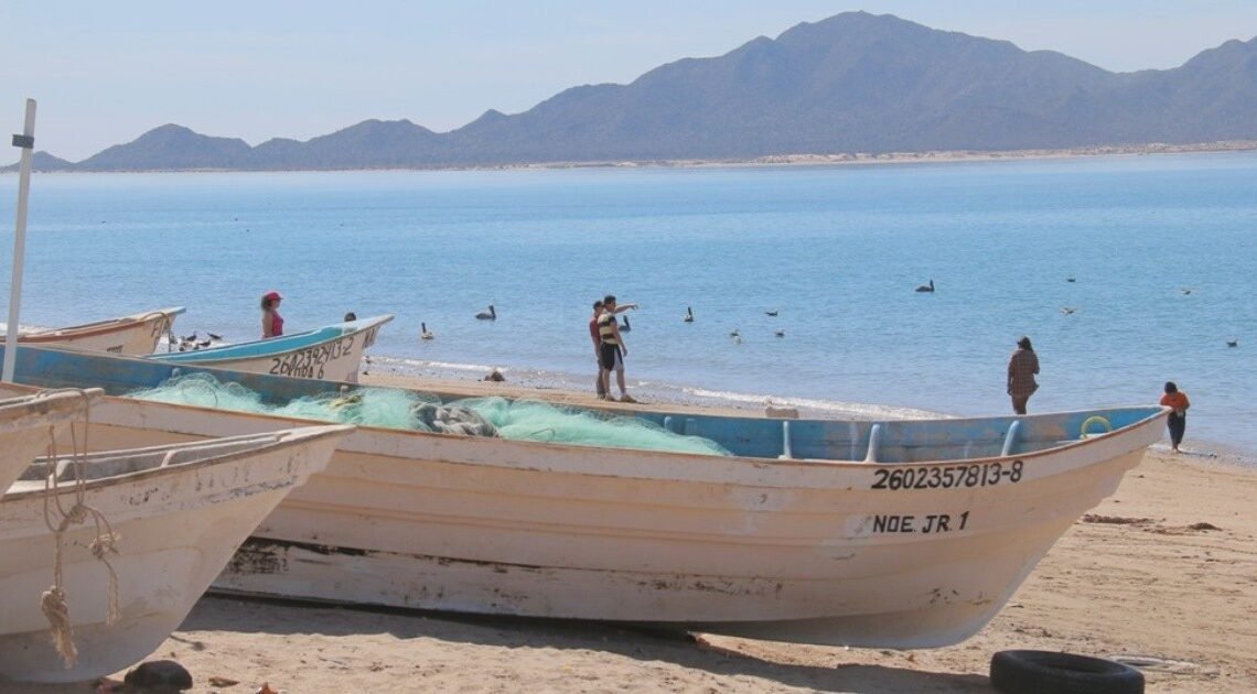 Cierran Puerto de Bahía de Kino por oleaje alto y fuertes vientos Cierran Puerto de Bahía de Kino por oleaje alto y fuertes vientos