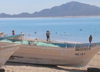 Cierran Puerto de Bahía de Kino por oleaje alto y fuertes vientos