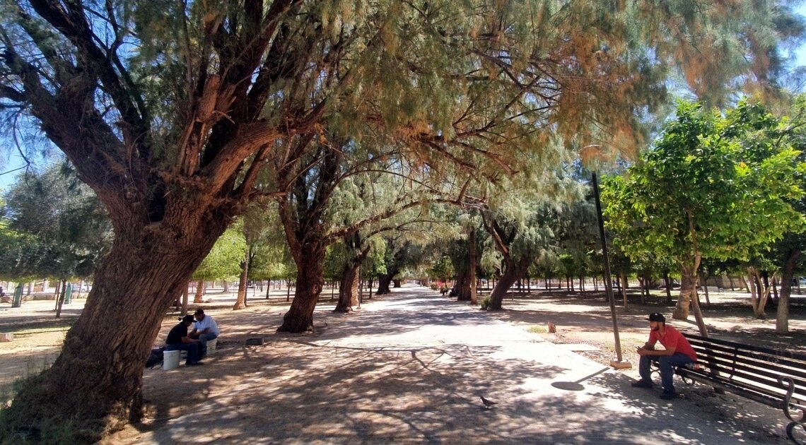 Realizarán caravana para promover un Sistema de Educación Inicial en Sonora