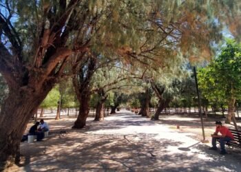 Realizarán caravana para promover un Sistema de Educación Inicial en Sonora