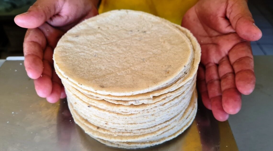 Bajo consumo de tortilla de maíz influye en alto precio en Hermosillo: Fecanaco