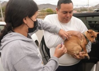 Hermosillo: Mañana estará en Las Amapolas Jornada de Bienestar Animal