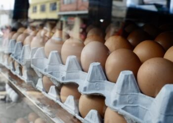 Llega la canasta básica a ,082 en Hermosillo