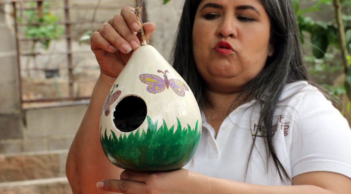 Hermosillo: María Ema saca provecho a los bules de una forma colorida, creativa y por una buena causa
