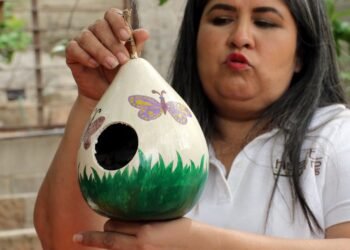 Hermosillo: María Ema saca provecho a los bules de una forma colorida, creativa y por una buena causa