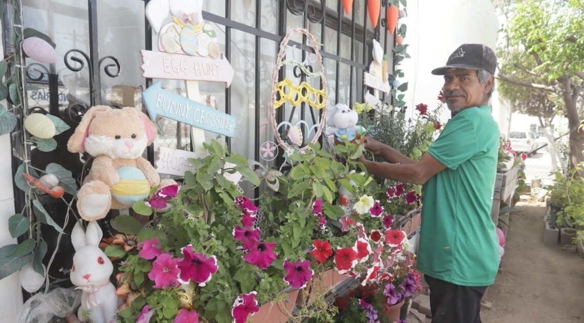 ¡Vivienda en Hermosillo se transforma! En octubre es una casa de espanto, pero en abril se viste de colores para celebrar la Pascua