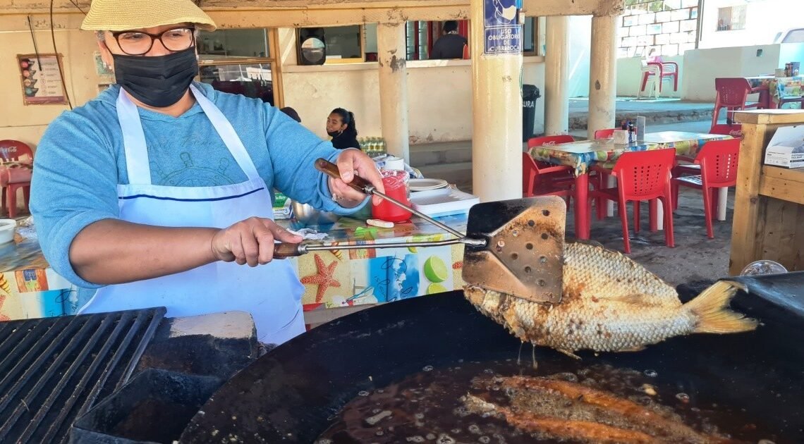 Lisas asadas y adobadas para “chuparse los dedos” en Bahía de Kino