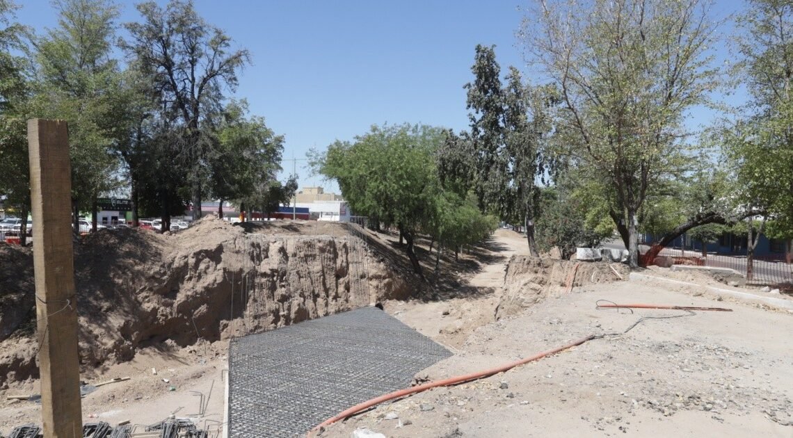 Forestarán con 160 árboles más en puente a desnivel de Hermosillo Forestarán con 160 árboles más en puente a desnivel de Hermosillo