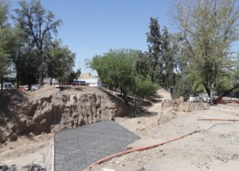 Forestarán con 160 árboles más en puente a desnivel de Hermosillo