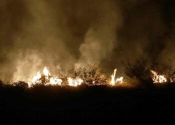 Aumentan incendios de maleza al Oriente de la ciudad