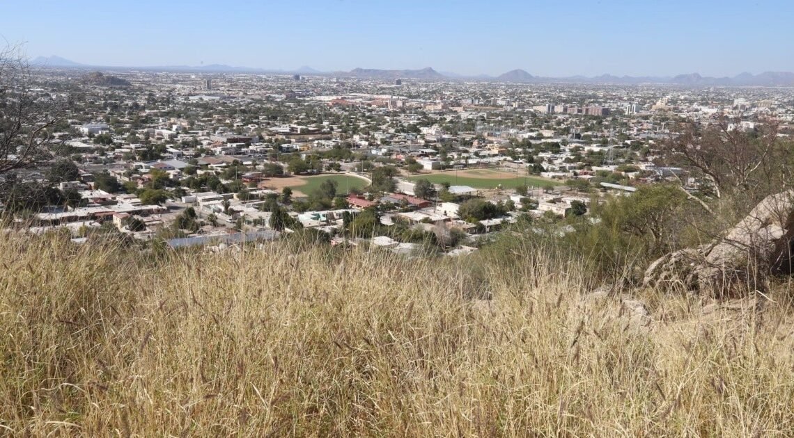 Zacate buffel amenaza ecosistema desértico Zacate buffel amenaza ecosistema desértico