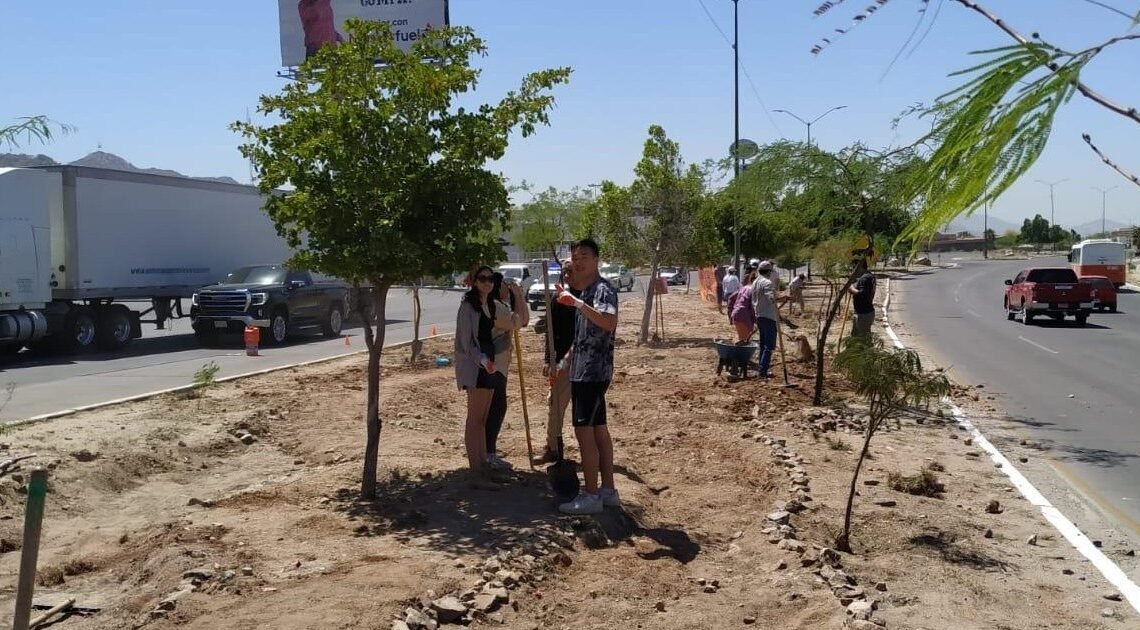 Estudiantes de Arizona y Sonora crean infraestructura verde Estudiantes de Arizona y Sonora crean infraestructura verde