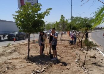 Estudiantes de Arizona y Sonora crean infraestructura verde