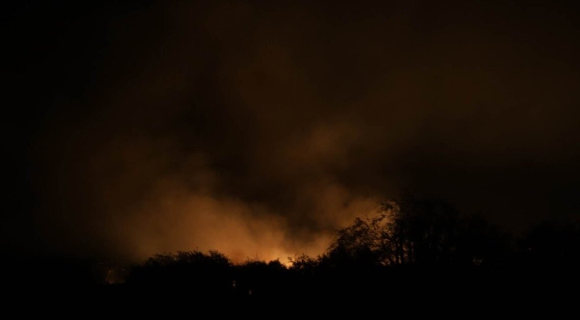 Incendio forestal en carretera Hermosillo-Nogales afecta 66 hectáreas