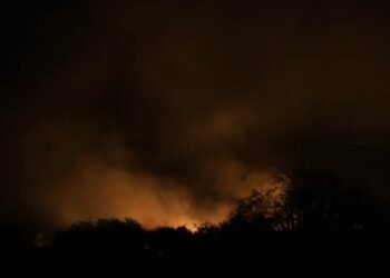 Incendio forestal en carretera Hermosillo-Nogales afecta 66 hectáreas