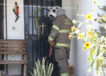Muere hombre, quien había sido lesionado por picaduras de abejas, a causa de embolia cerebral