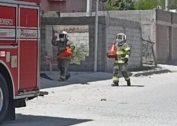 Hombre terminó en el hospital debido a un ataque de abejas