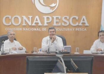 Analizan demanda de productores acuícolas por ingreso de camarón