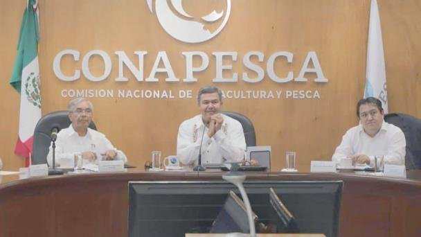 Analizan demanda de productores acuícolas por ingreso de camarón Analizan demanda de productores acuícolas por ingreso de camarón